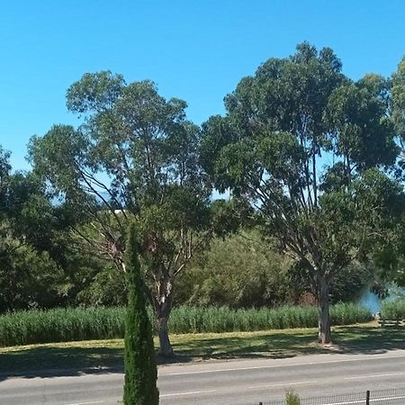 Villa san salvador Torreilles plage Exteriör bild