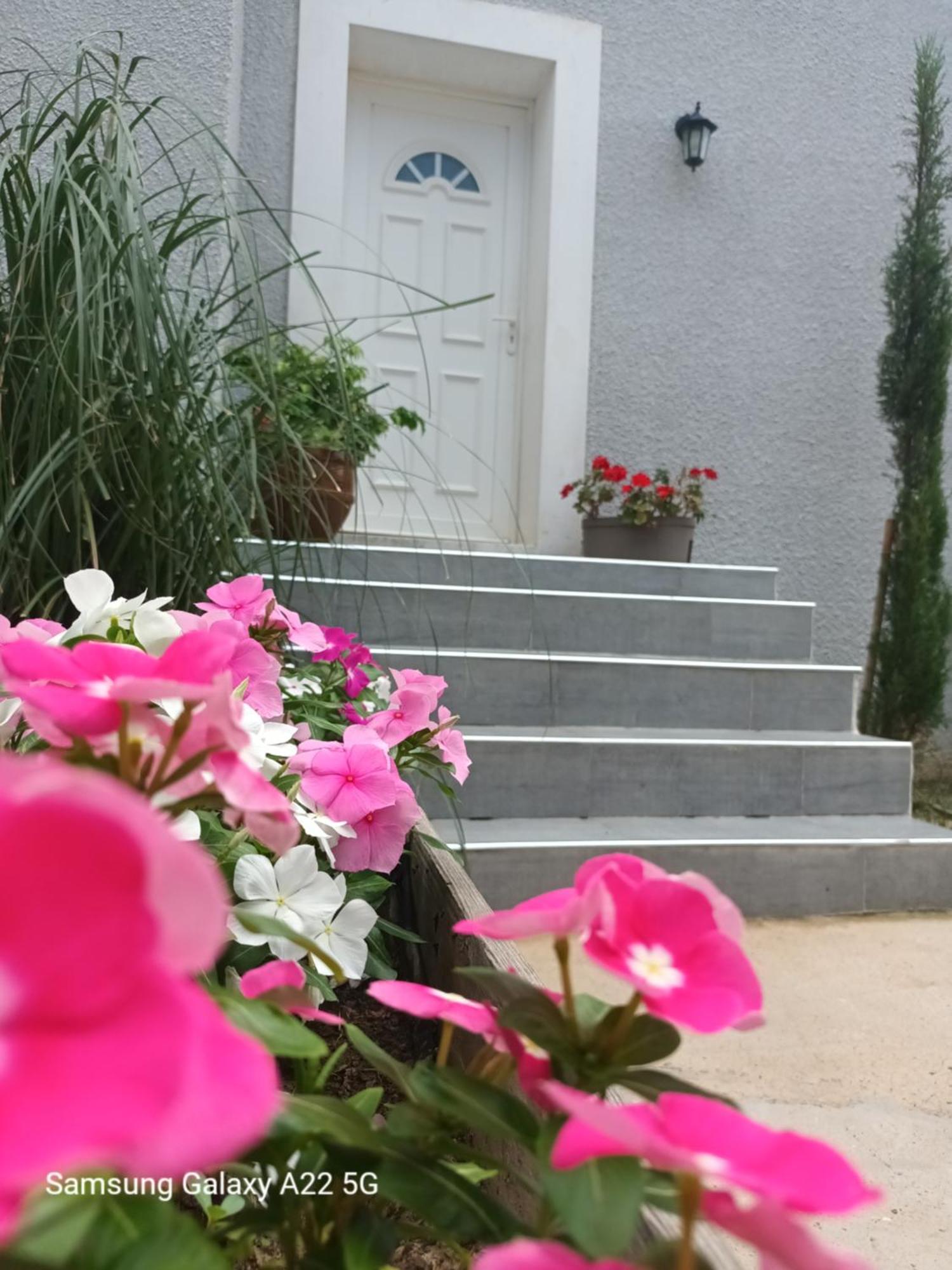 Villa san salvador Torreilles plage Exteriör bild